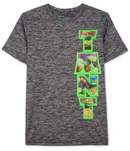 Nickelodeon Boys TMNT Vert Heathered Graphic T-Shirt