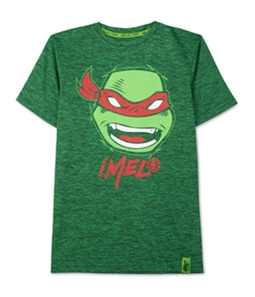 Nickelodeon Boys TMNT Raphael Graphic T-Shirt