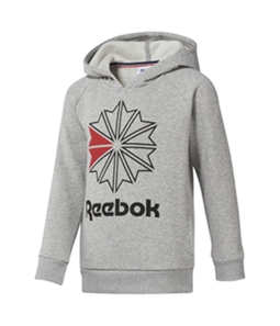 Reebok Boys Logo Hoodie Sweatshirt