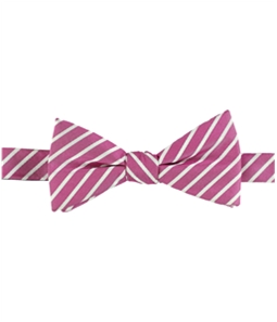 Countess Mara Mens Stripes Self-tied Bow Tie