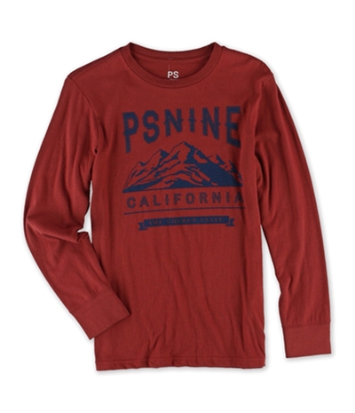 Aeropostale Boys Psnine California Graphic T-Shirt