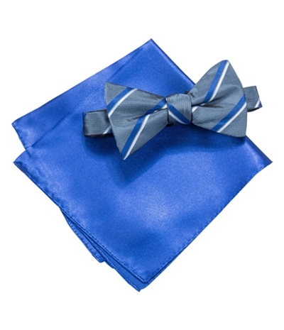Alfani Mens 2 Piece Neck Tie Set