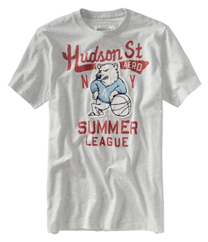 Aeropostale Mens Hudson St Embroidered Graphic T-Shirt lightestgray M